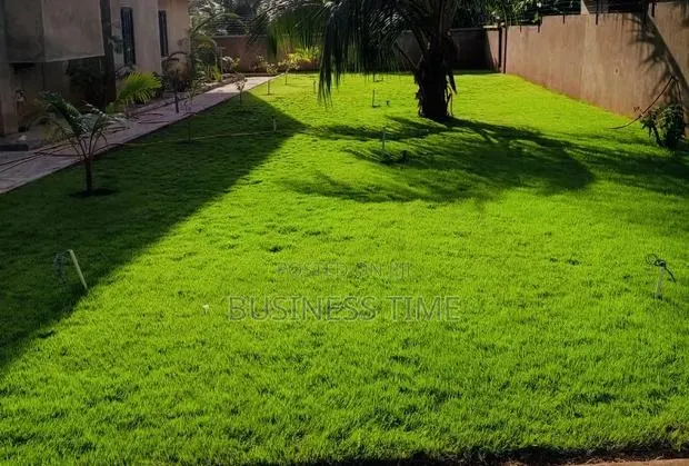 Garden and Landscaping · Photo 1