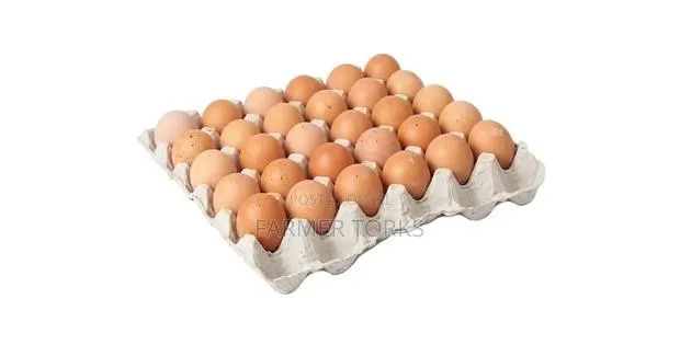 Crate of Egg · Photo 1
