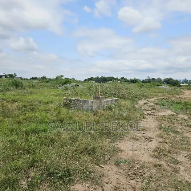 Two Plots of Land · Photo 1