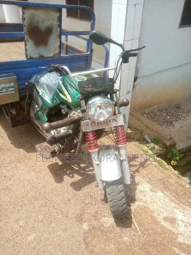 Luojia Clean Tricycle 2024 Green · Photo 1