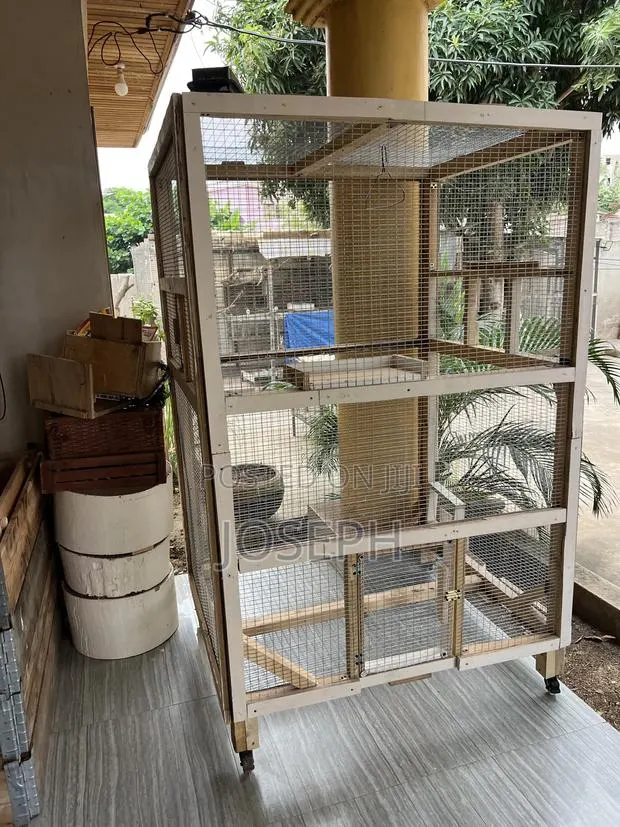 Big Bird Cage · Photo 1