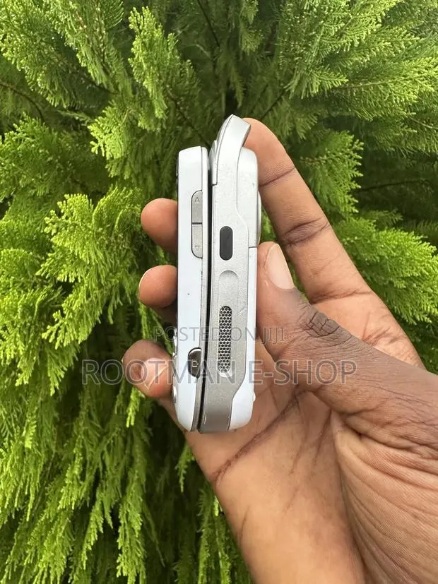 Sony Ericsson W550 Silver · Photo 1