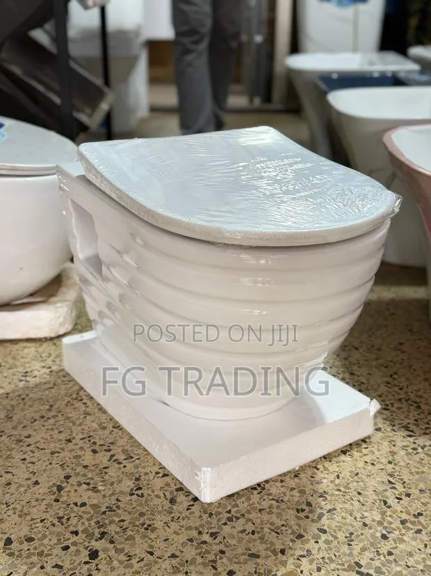 Concealed Water Closet _ Hanging Toilet · Photo 1