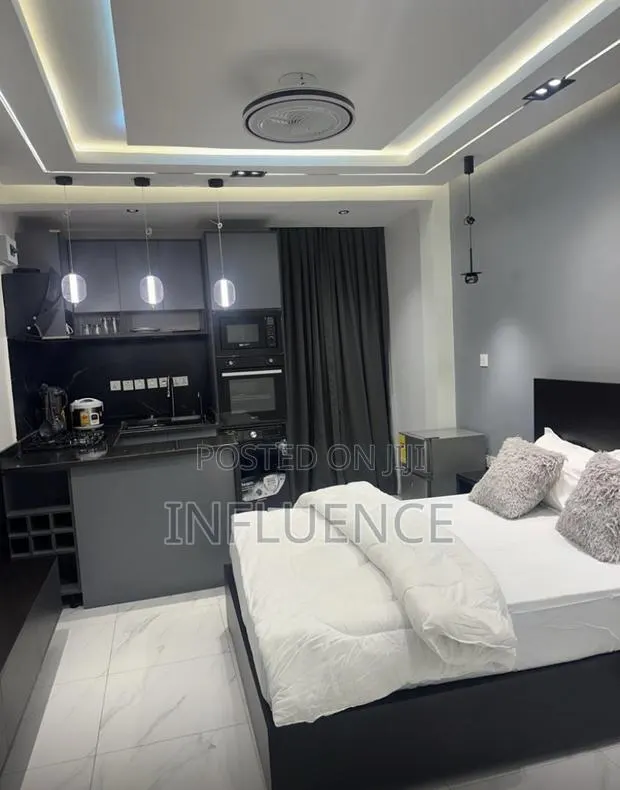 Furnished 1bdrm Apartment in Palace Mall Area, Spintex for rent · Photo 1