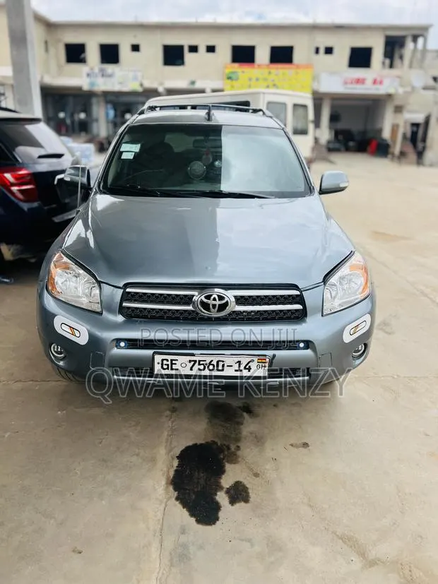 Toyota RAV4 2008 Gray · Photo 1