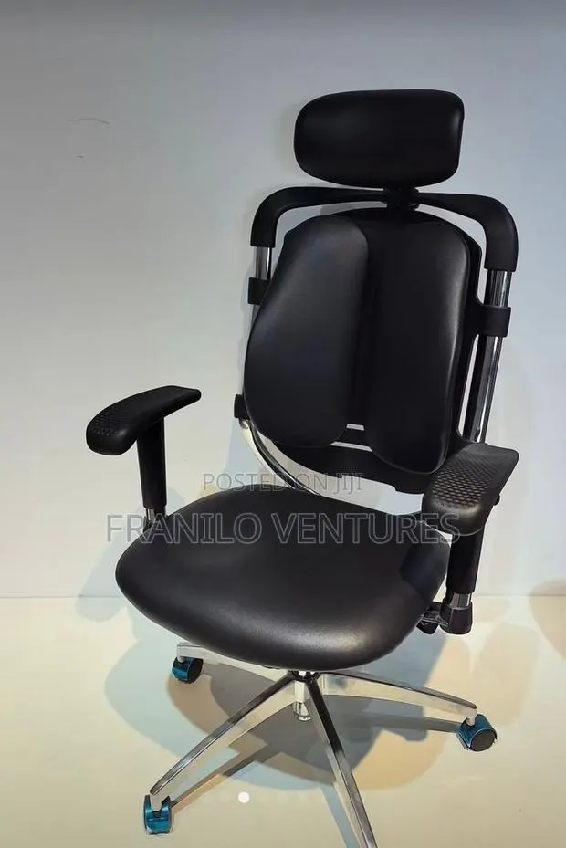 Orthopedic/ Executive Office Chairs · Photo 1