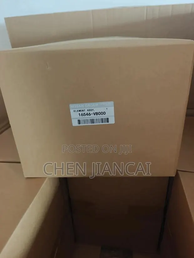 NISSAN Car Air Filter · Photo 1