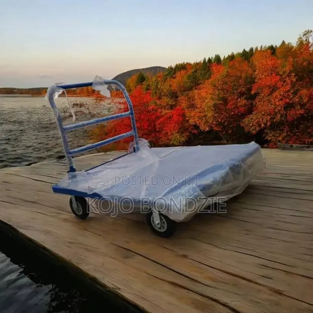 Industrial Platform Trolley Metal · Photo 1