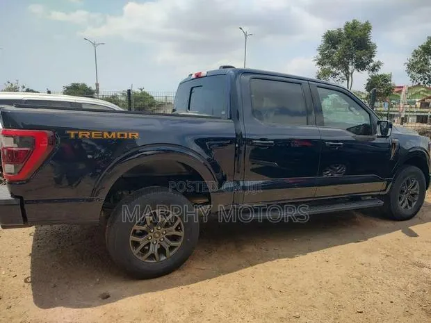 Ford F-150 Tremor 2022 Blue · Photo 1