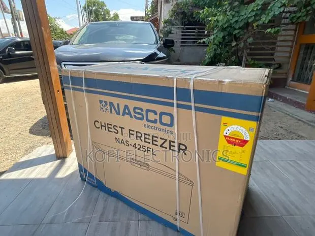 Nasco 316l Spacious Chest Freezer for Home Business · Photo 1