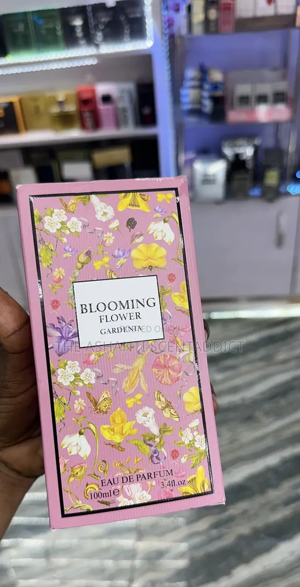 Blooming Flower Gardenia · Photo 1