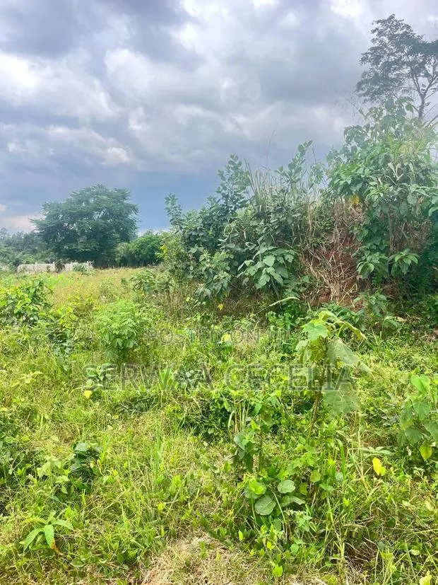 100% Clean Title Land — Chiransa, Off the Sokoban Road · Photo 3