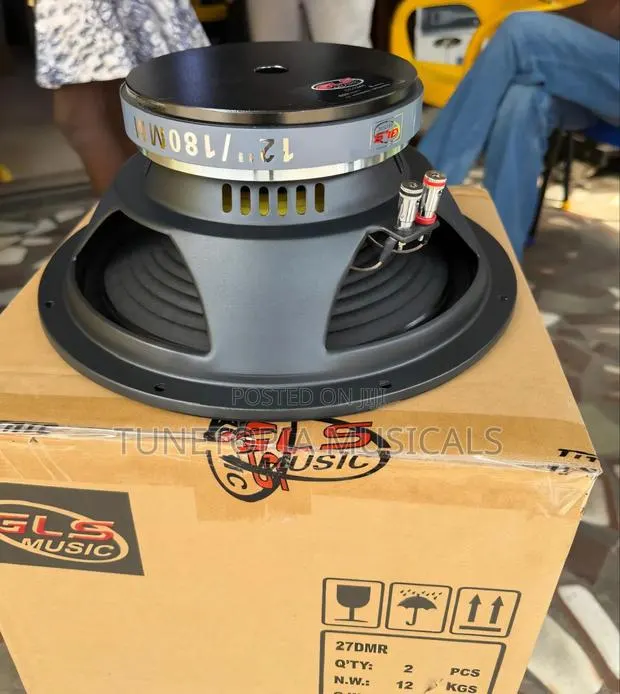 GLS Music 12-Inch 600-Watt Naked Professional Loudspeaker · Photo 1