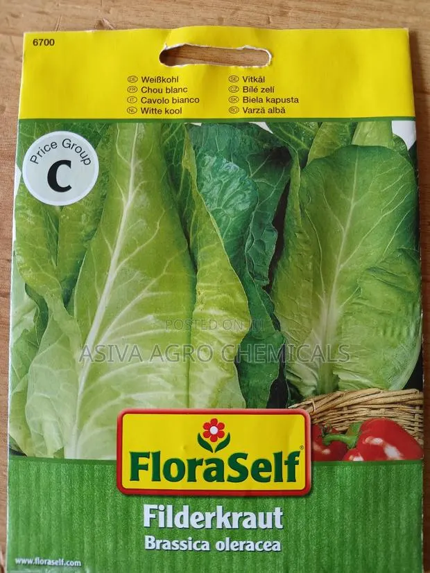 Long/ Pointed Cabbage · Photo 1