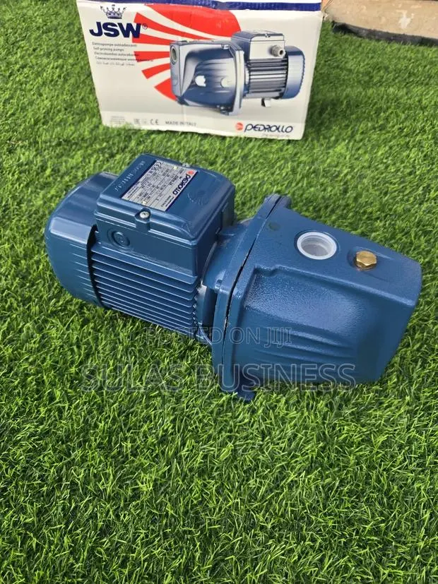 Pedrollo 1.0 Hp Castbody · Photo 1