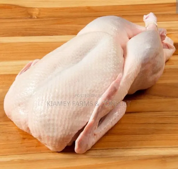 Dressed Duck · Photo 1