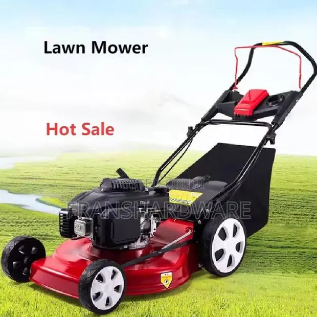 Self Propelled Lawn Mower · Photo 1