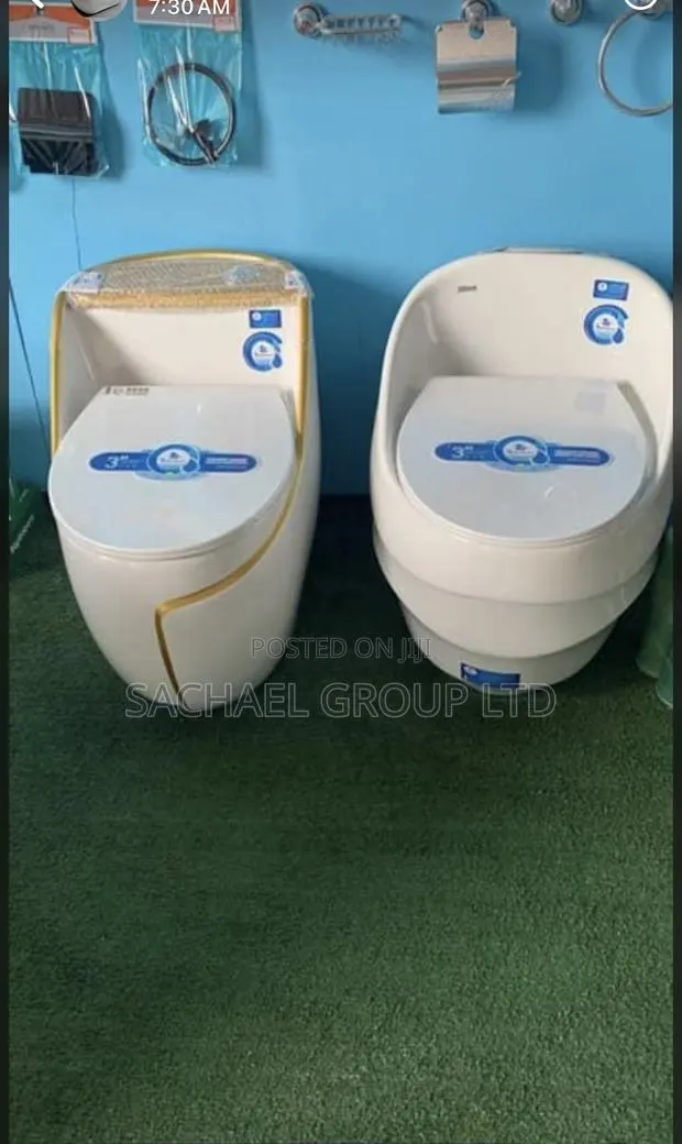 Elegant Egg Shape Wc · Photo 1