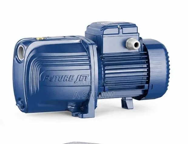 Pedrollo 1.5HP Surface Pump · Photo 1