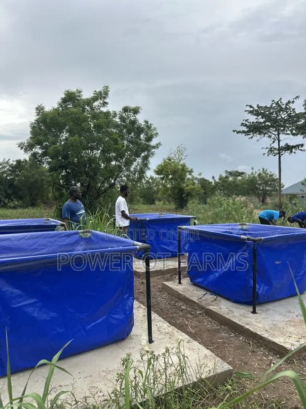 Fish Pond Made With Tarpaulin · Photo 1