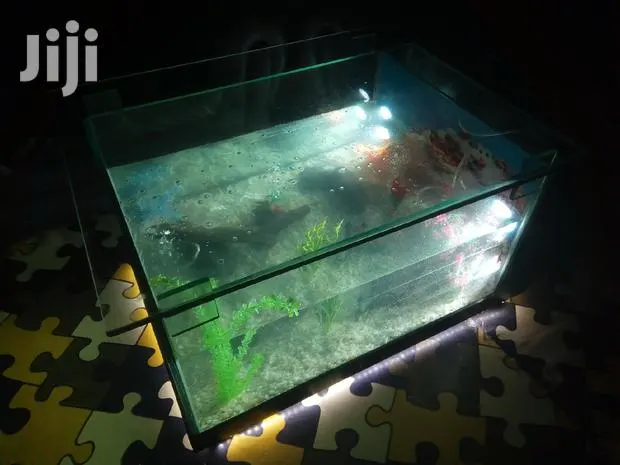 Aquarium · Photo 1