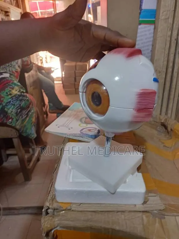Giant Eye Model · Photo 1