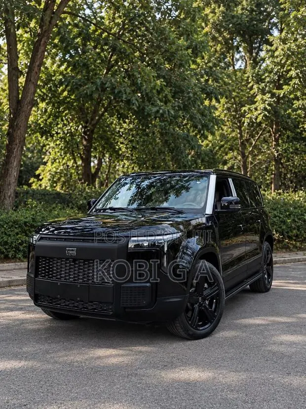 New Rox Motor Polar Stone 01 2025 Black · Photo 1
