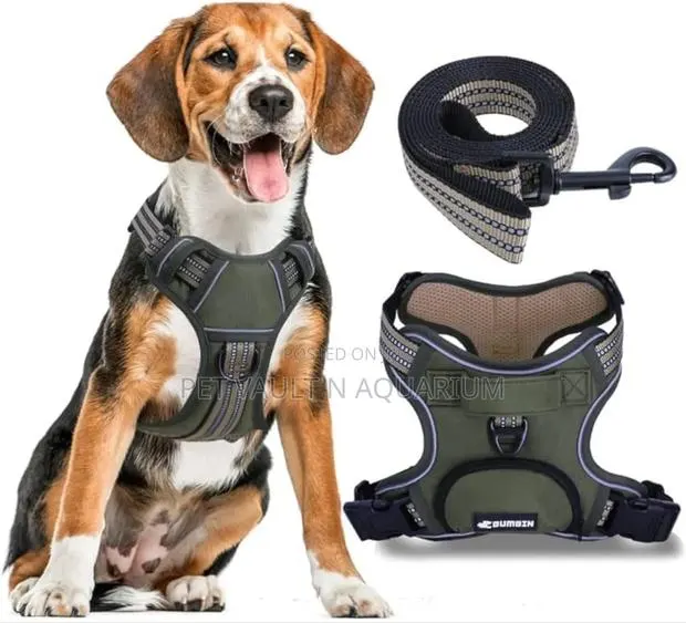 Bunty Harness With Leash for Dogs · Photo 1