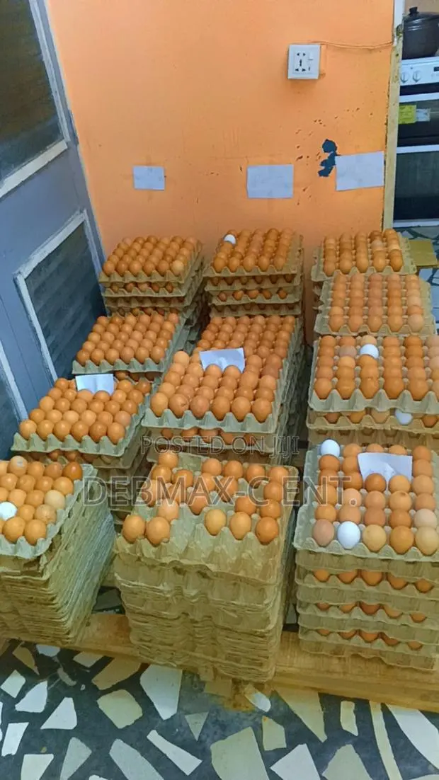 Diamond Eggs · Photo 1