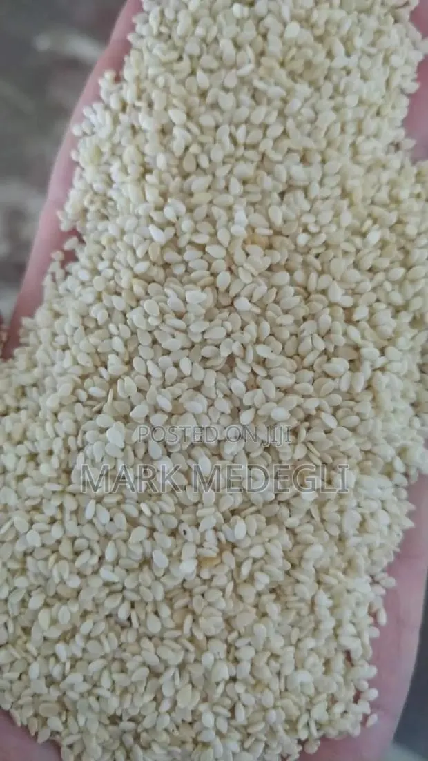 Sesame Seeds · Photo 1