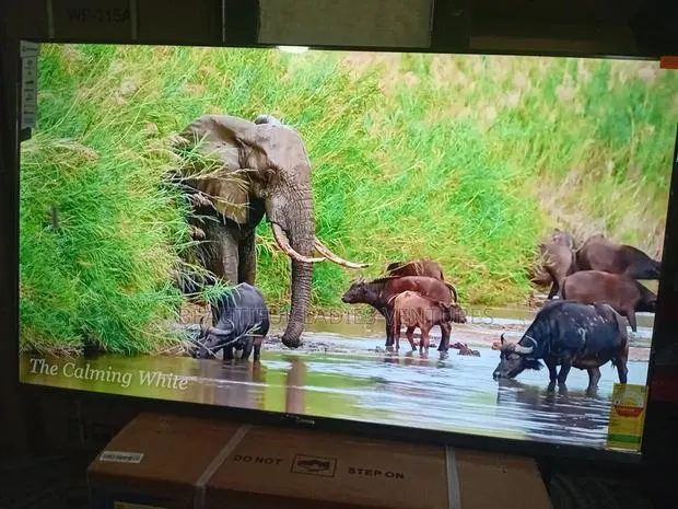 Sigma 55” Uhd Tv – Modern Home Essential · Photo 1