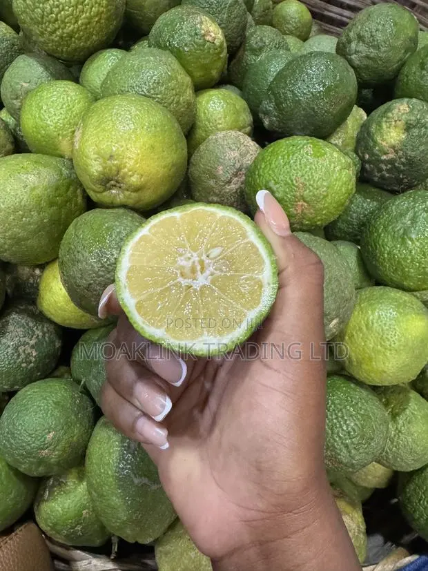 Fresh Lemon · Photo 1