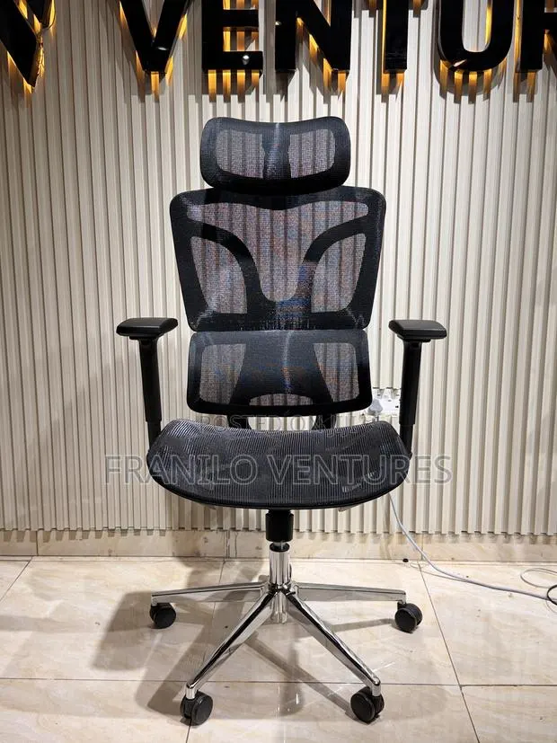 Ergo Office Chair · Photo 1