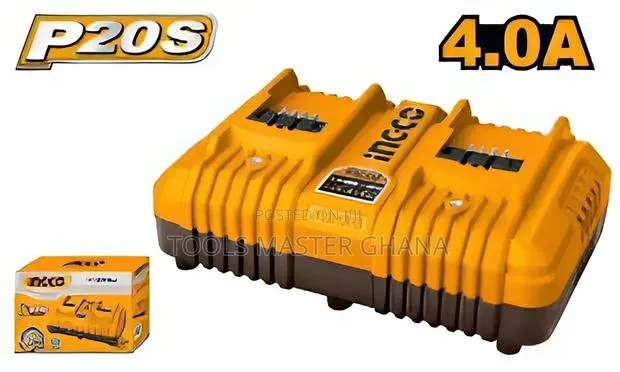 P20s Battery Charger - Fcli2034 · Photo 1
