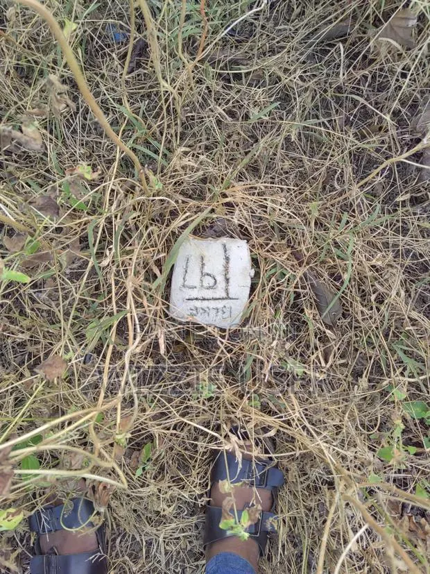 Two Plots of Land for Sale · Photo 2