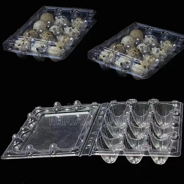 Transparent Quail Egg Crates · Photo 1