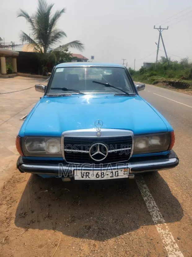 Mercedes-Benz W123 1984 Blue · Photo 1
