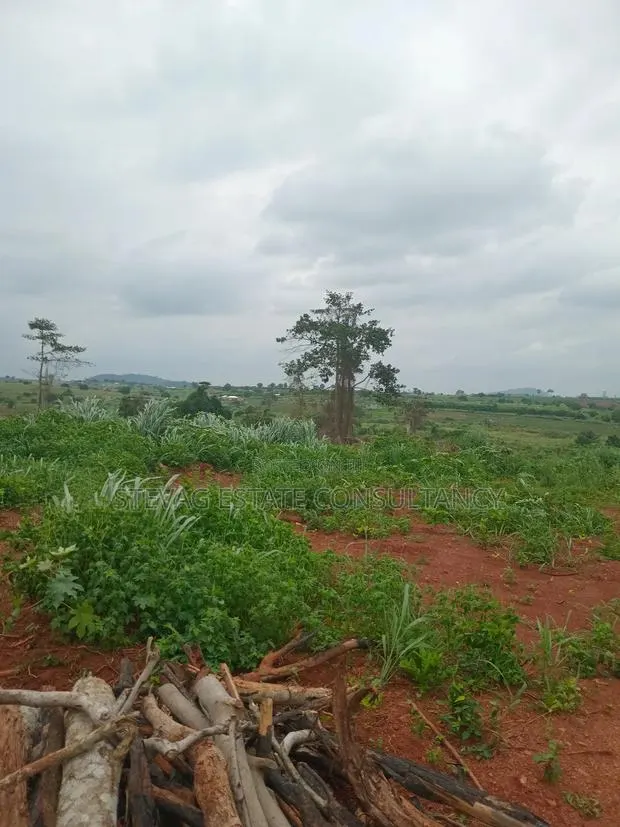 Alpha Estate Land for Sale Kweikrom · Photo 5