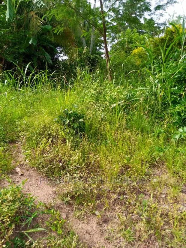 Residential and Farmland 4 Sale · Photo 1