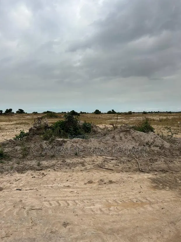 Invest in Land. Plan for Tomorrow. · Photo 1