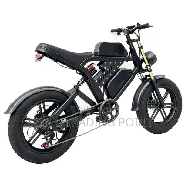 Dual Battery E-Bike for Delivery · Photo 1