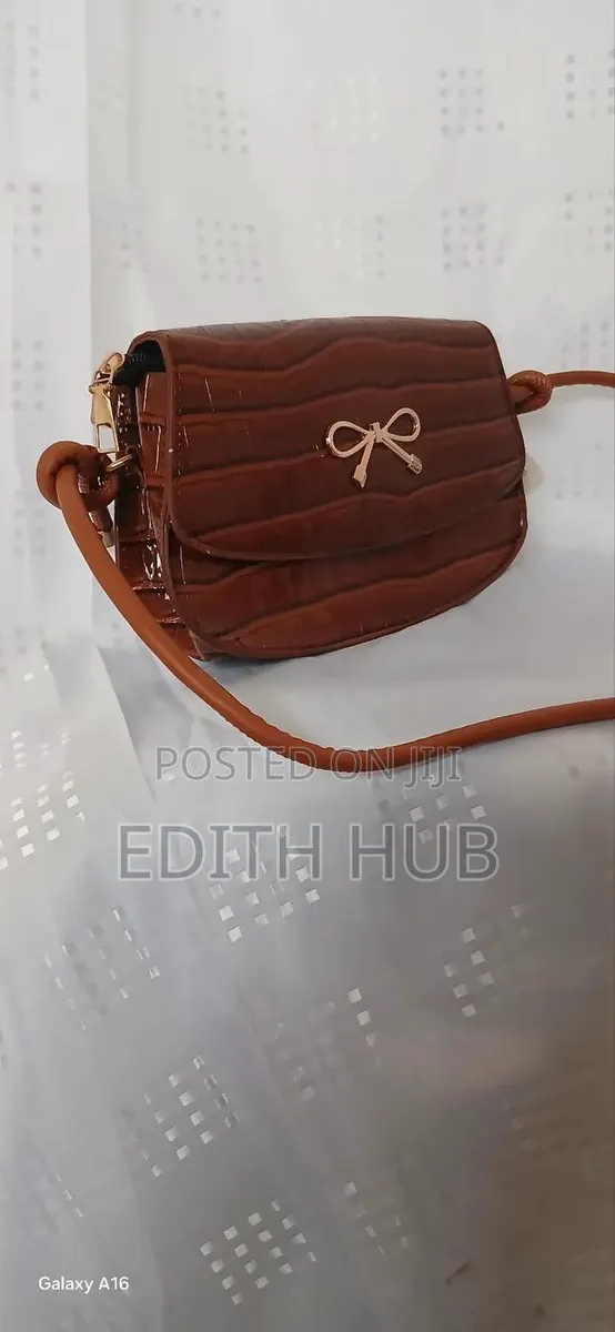 Ladies Bags · Photo 1