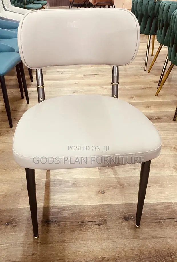 Leisure Chair/ Auditorium Chair · Photo 1