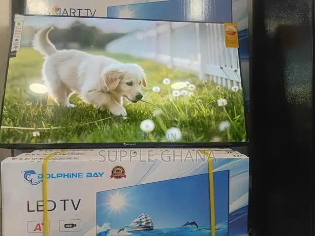 Dolphine Bay 43-Inch Smart Tv, Primepixel Dolphine Bay Smart Tv · Photo 1