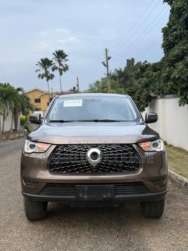 Great Wall Poer 2019 Brown · Photo 1