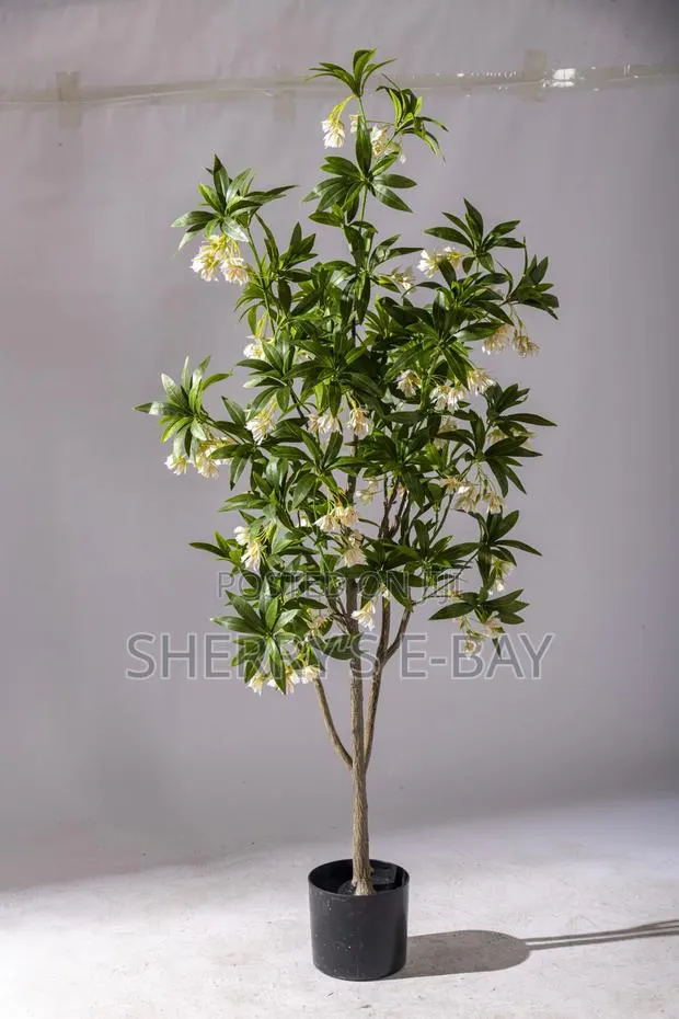 Artificial Water Ficus Plant(with Concrete Pot) · Photo 3