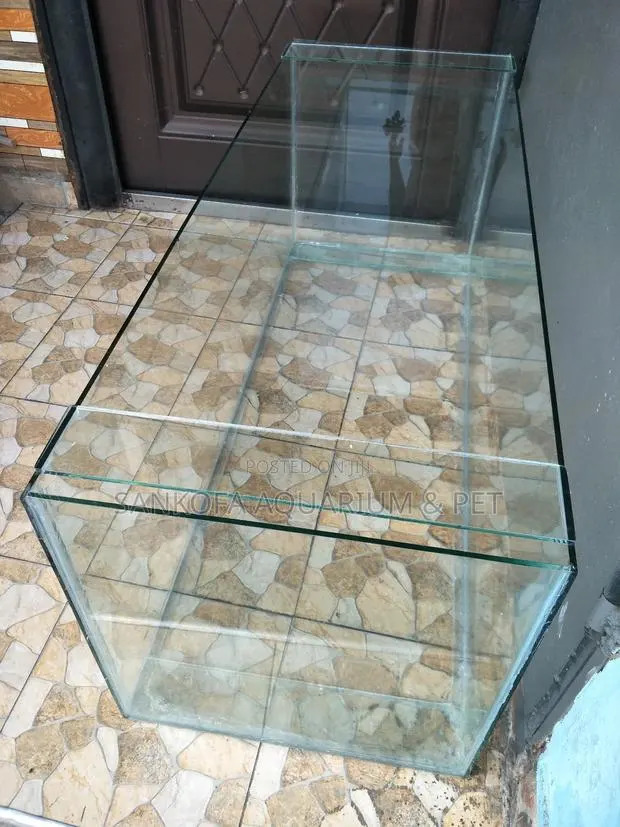 Aquarium Tank Rent for Program's Events · Photo 1