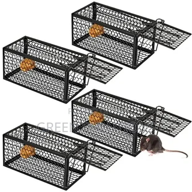 Cats and Rats Trap · Photo 1