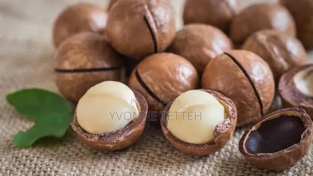 Macadamia Nut · Photo 1