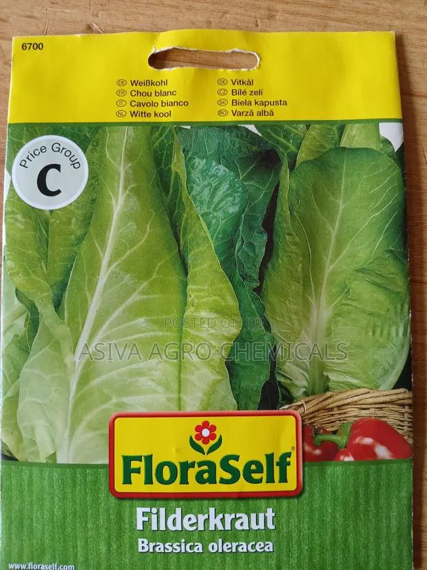 Long/ Pointed Cabbage · Photo 2